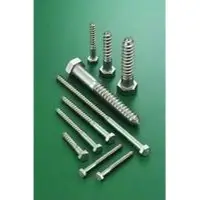 Hex coach screws